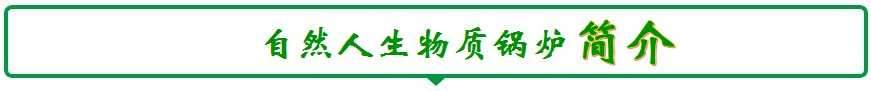 自然人生物質鍋爐廠家簡介